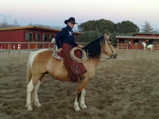 Acercate a la doma western